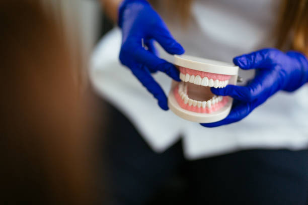 Reliable East Peoria, IL  Holistic Dental Services Solutions
